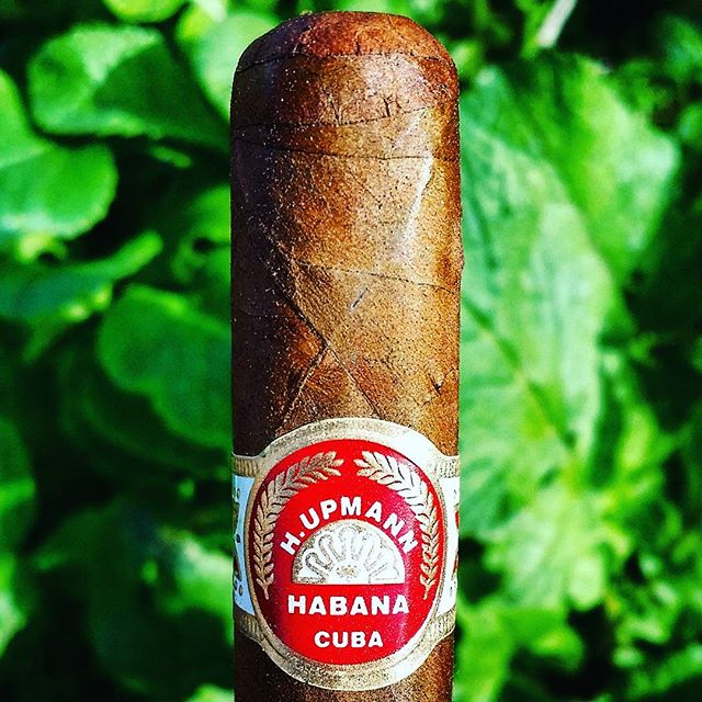H. Upmann petit corona cuban cigar