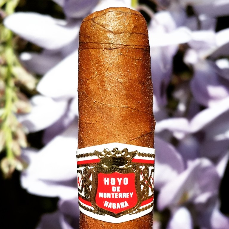 Hoyo De Monterrey Le Hoyo Du Marie Cuban Cigar