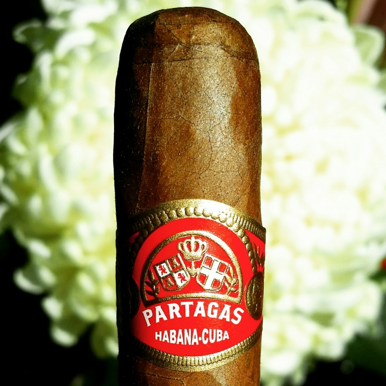 partagas shorts cuban cigar