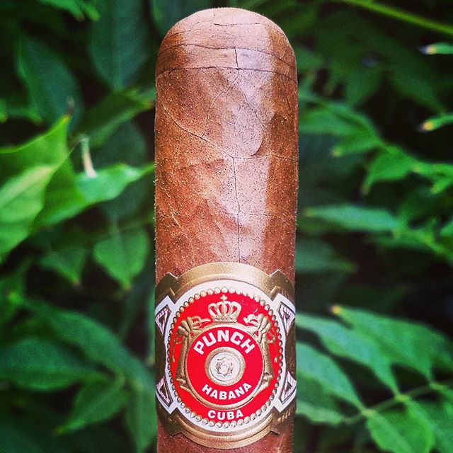 Punch Double Corona Cuban Cigar