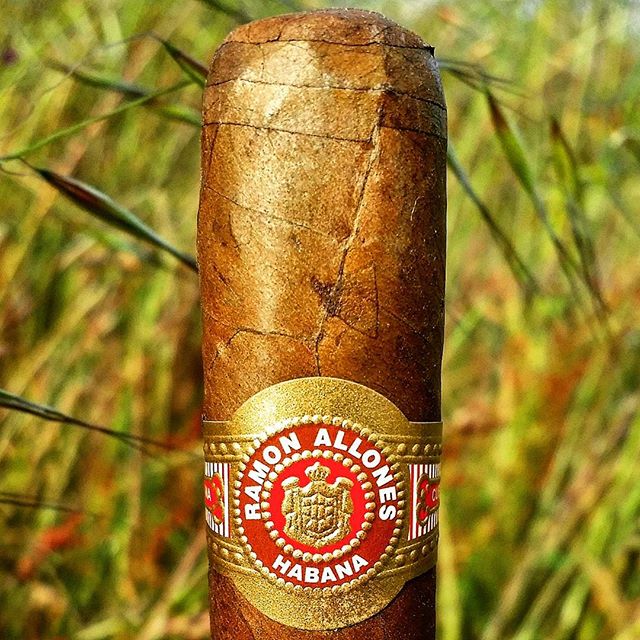 Ramon Allones Specially Selected Cuban Cigar