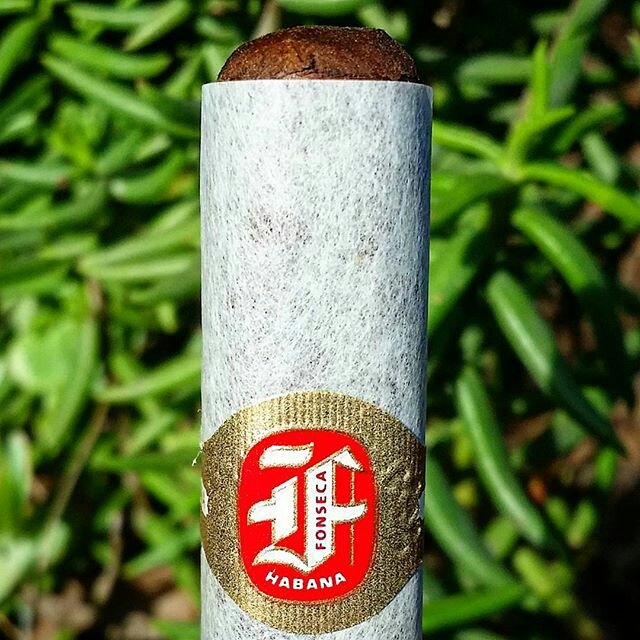 Fonseca Cosacos Cuban Cigar