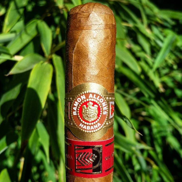 ramone allones superiore